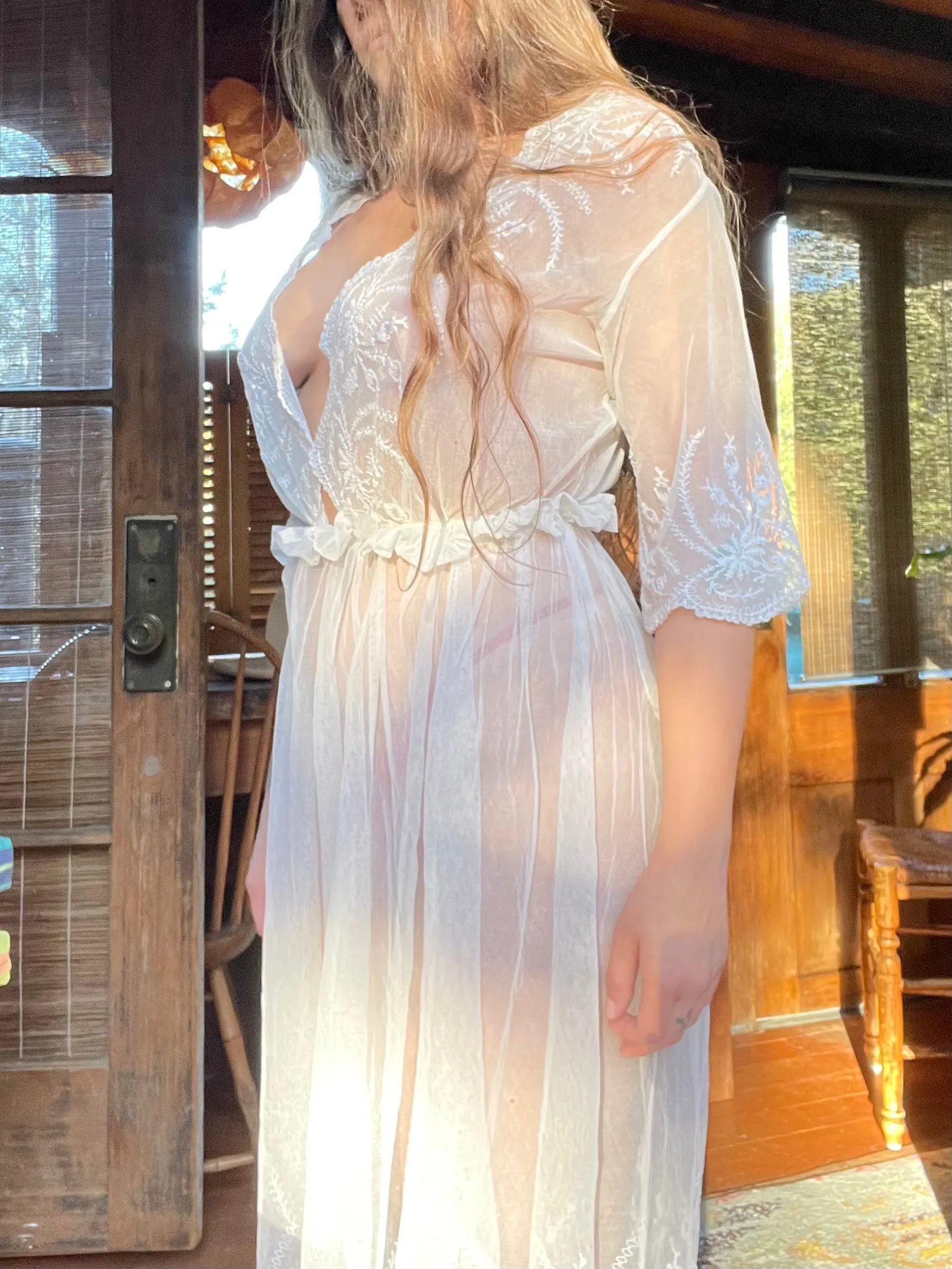 1917 Edwardian Embroidered Net Garden Dress