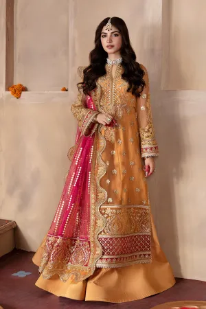 AFROZEH | Shehnai Wedding Formals'23 | ZURI