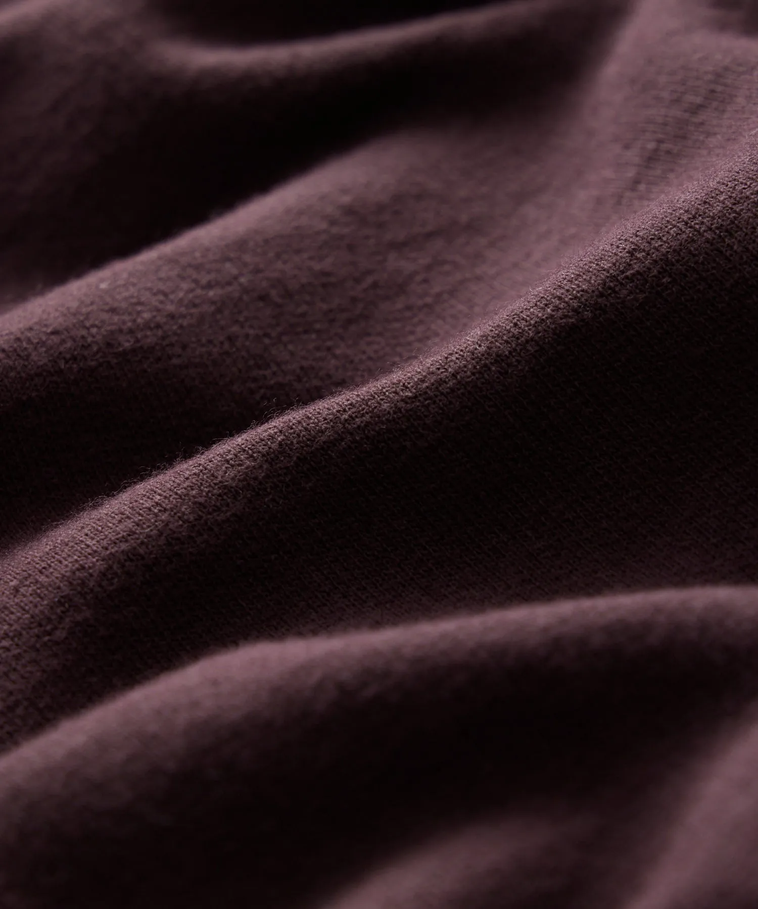 Champion Turtleneck Sweatshirt in Cordovan