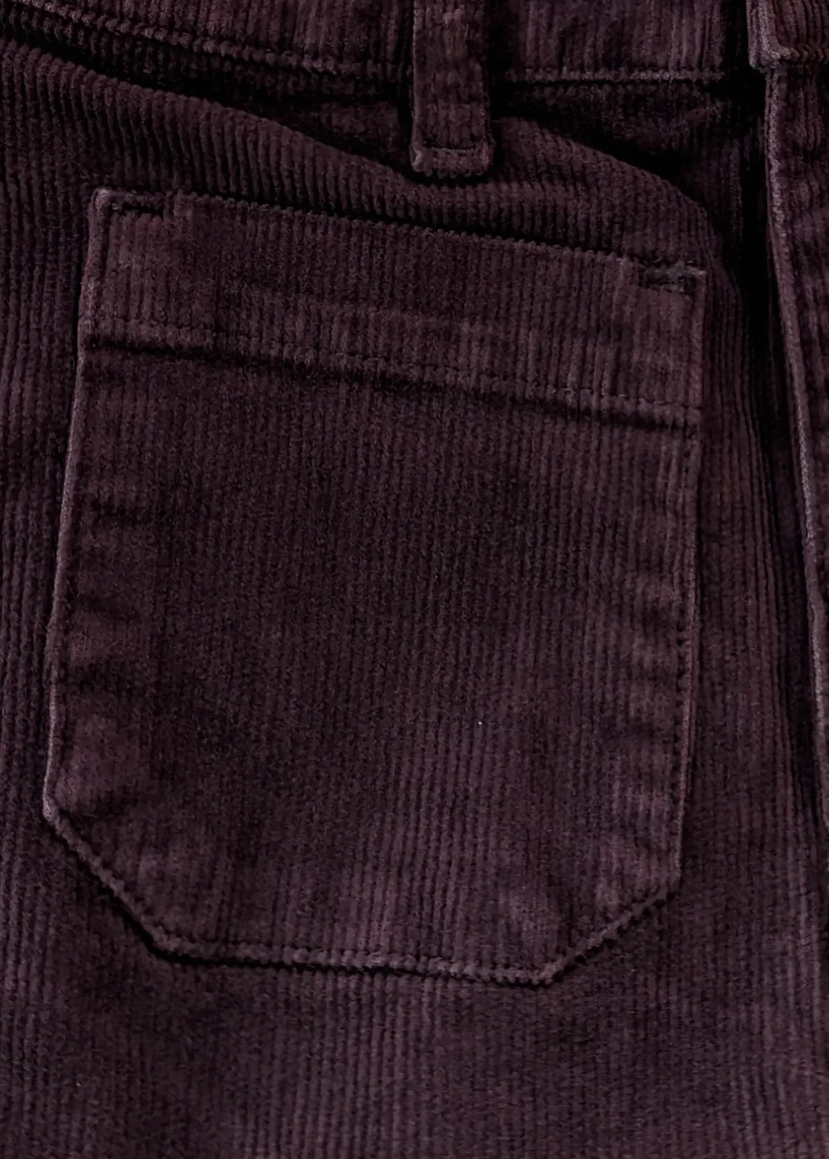 Fig Corduroy Sailor Pants <br> <i> ankle length </i>
