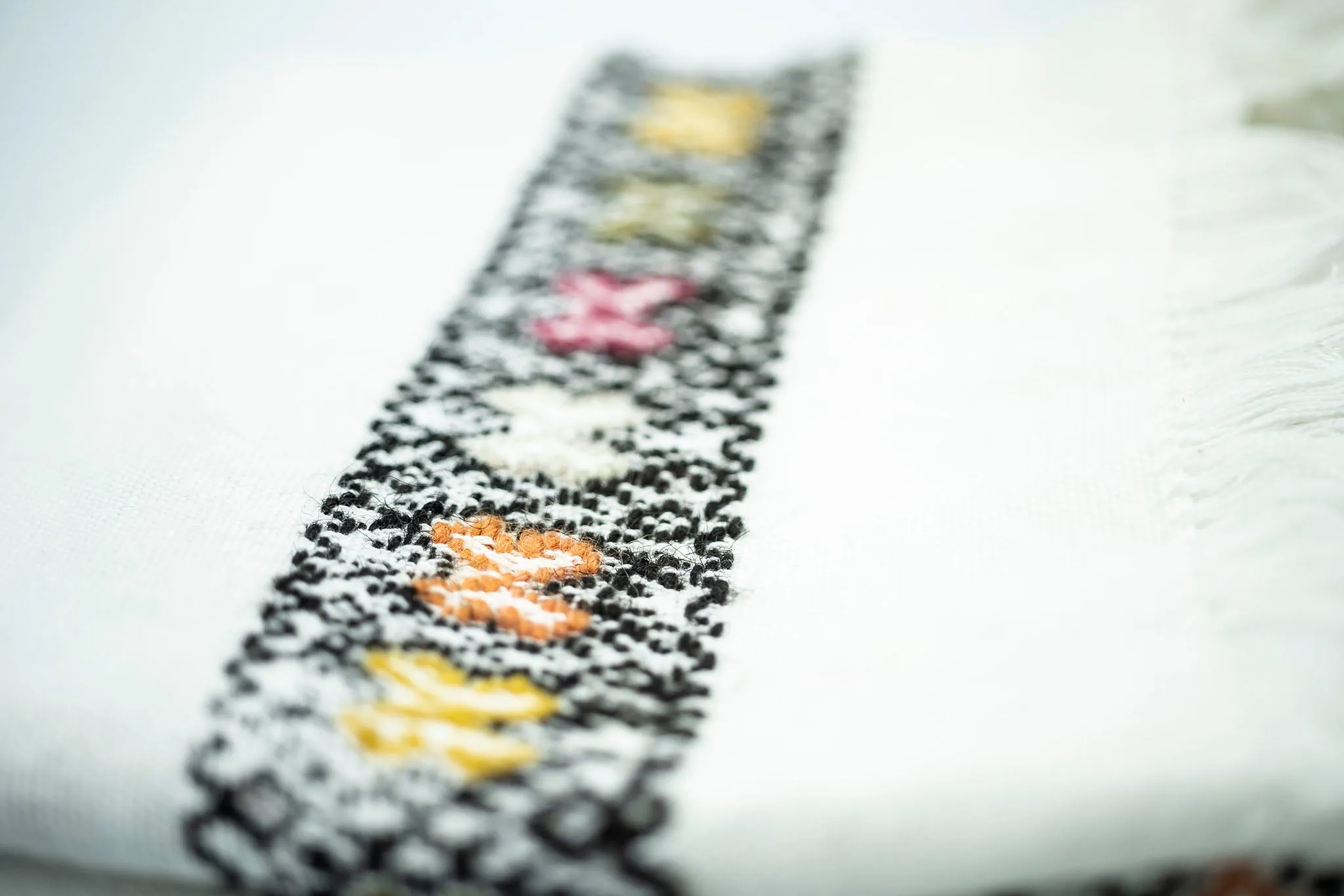 Larrainzar Napkin (Set of 2)