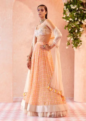 Pink Ivory Sherita Lehenga Set