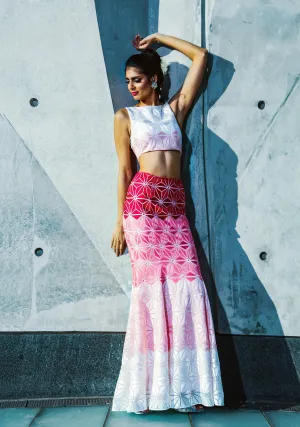 SHANAYA Ombre Embroidery Skirt