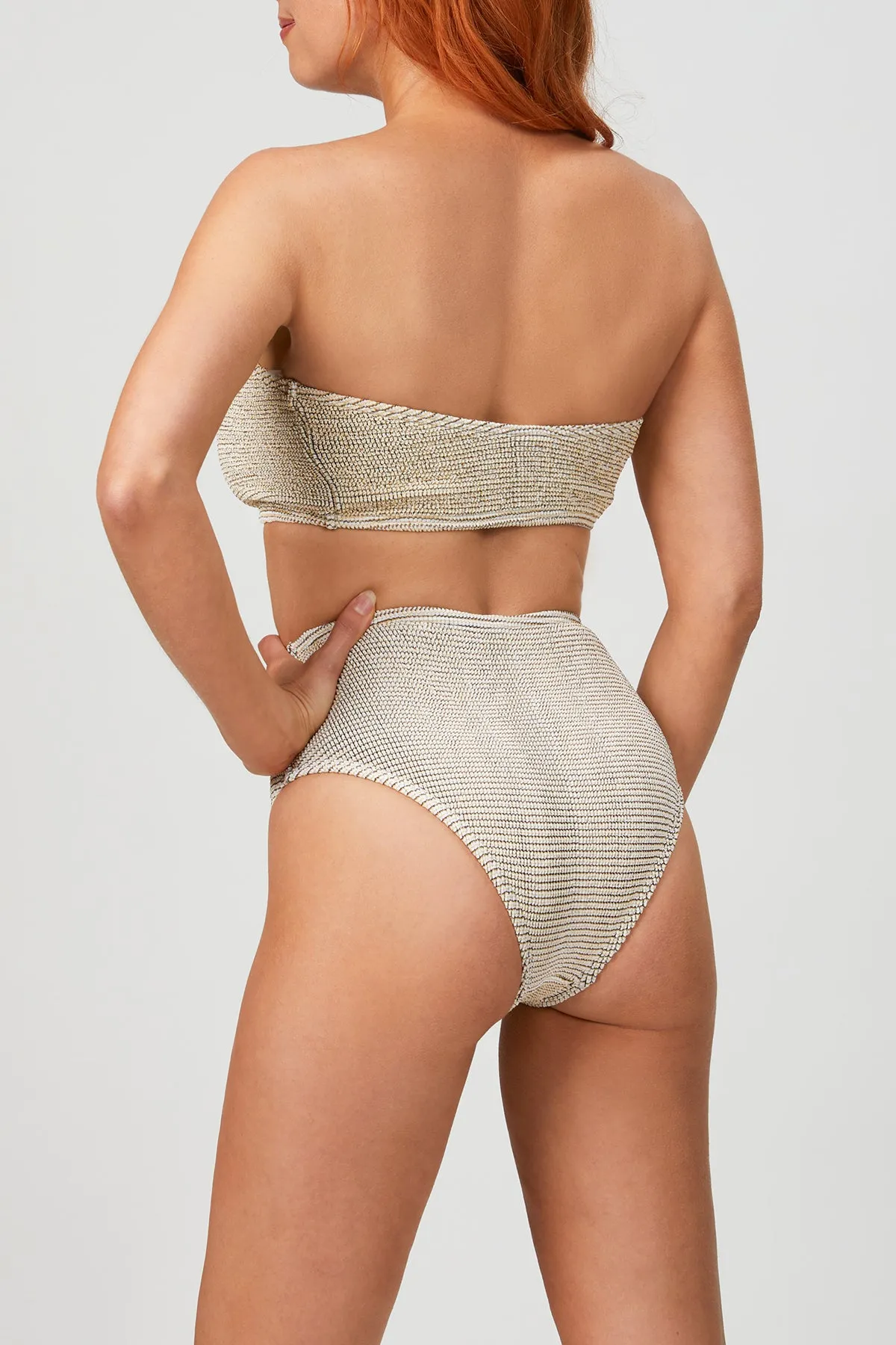 THE PALMER BRIEF