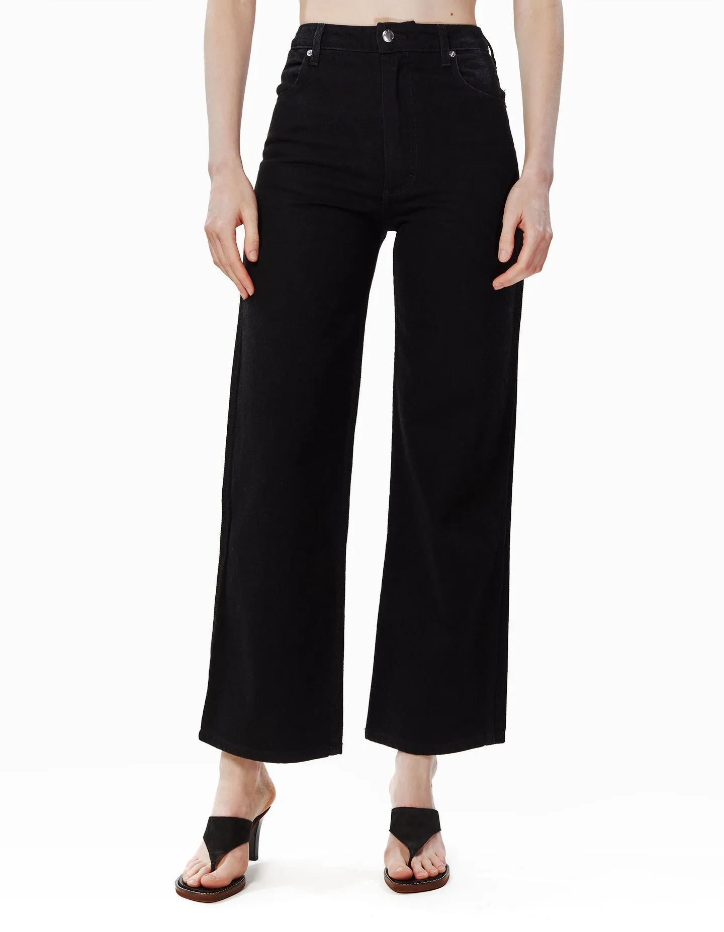 Wide Leg Jean in Almost Black
